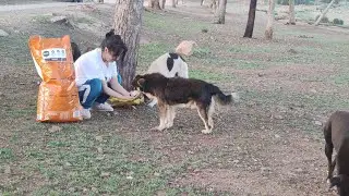 خرجنا. بشينا براج ولكن ريبي مقلق مني 😭 لغيره ومادير ولكن تصالحنا غادي تشوفو براج🐶