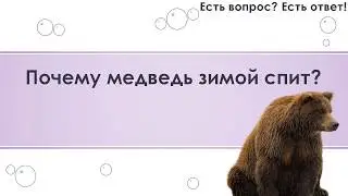 Почему медведь зимой спит? [287]