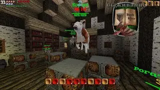 Block Story ВЫЖИВАНИЕ (ловец душ) # 10