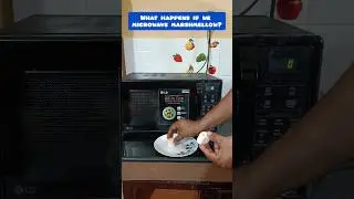 Microwave vs marshmellow||What happens if we microwave marshmellow #experiments #shorts