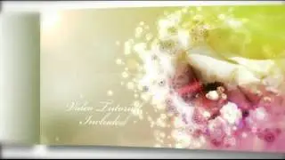 Wedding Photo Album II And Slideshow- After effects project template