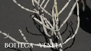 Introducing Bottega Veneta Winter 24