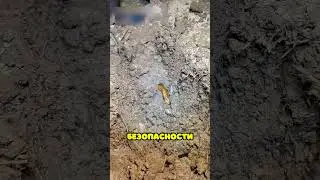 This boy found a snake in the ground 😰