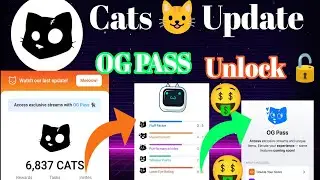 🐈Cats Og Pass Update GAS 1 Ton I cats coin unlock All I cats telegram airdrop update