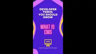 What is CMS explained under 30 seconds!  Developer terms explanations #4