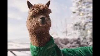 A Festive Farm – TK Maxx Christmas Ad 2023