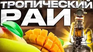Delicious aromatic vodka made with a Soxhlet extractor, Tropical Paradise Mango with Mint