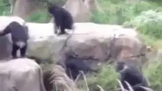 вот вам хуенот! Прикол