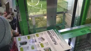 Инкубаторы NBF на сельскохозяйственной выставке «Гордость России» 2023г.