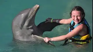 Addie Swims with Dolphins / Isla Mujeres / Mexico