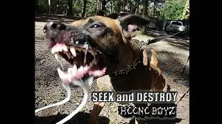 Heene Boyz - Seek and Destroy (Metallica Cover) | Audio