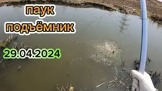 ПРИЕХАЛ НА РЫБАЛКУ А ТАМ нерест!. ПАУК ПОДЪЁМНИК. КАРАСИ ПУЗАТЫЕ С ИКРОЙ!
