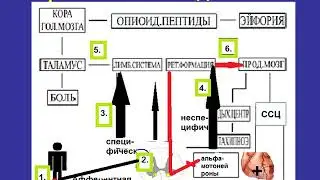 Лекция 