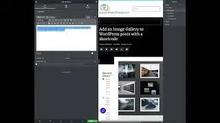 How to add Breadcrumbs to Your WordPress Pages using SEOpress?