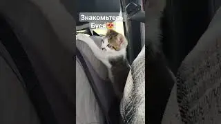 у нас Бусинка 