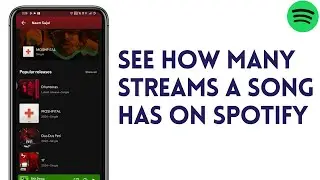 How To See How Many Streams A Song Has On Spotify 2024