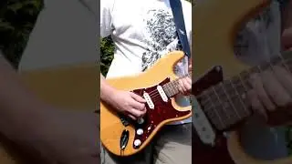 Strat *SWAMP ASH* Harley Benton ST-90SA 