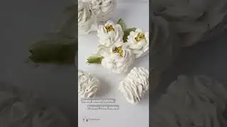 Зефир и зефирная флористика