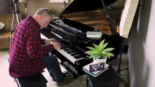 Pachelbel Canon in D - Arranged and Played by Brian Brink