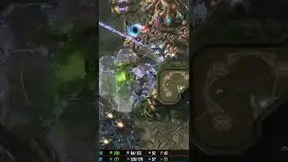 Has amazing force-field block against banelings in PvZ StarCraft 2