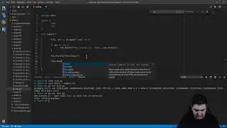 08-02-File Manipulation in go