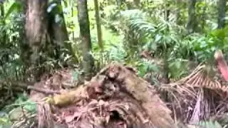 Mount Warning Part2