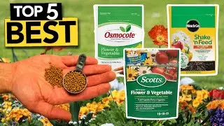 TOP 5 Best All Purpose Flower & Vegetable Continuous Release Plant Food [ 2023 Buyer's Guide ]