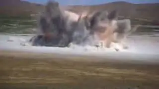 Попугай смертник . Смотреть всем.