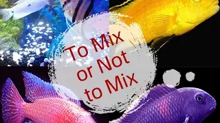 To Mix or Not to Mix??? The never ending fish debate