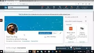 How to Show Contract Experience on LinkedIn: Sean The Dog Tutorial