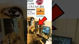 CS:GO tests on animals??