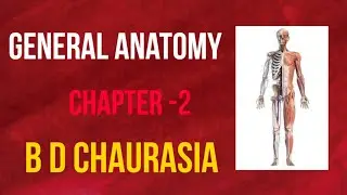 General Anatomy | b d chaurasia Handbook- Chapter 2 ( PART- 4 ) | SKELETON | Bones| cartilage