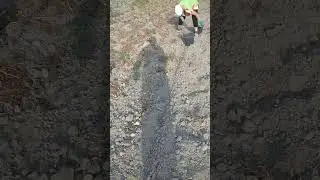 УРОЖАЯ КАРТОФЕЛЯ НЕТ 😥