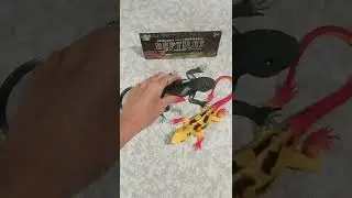 Рептилии (ящерицы желтая и серая)