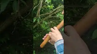 Beautiful forest flute