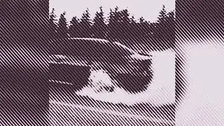 Gudoshnikova - Дорога