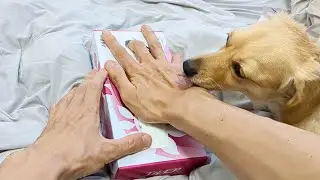 ASMR Sounds of playing with a large number of tissue boxes and hands