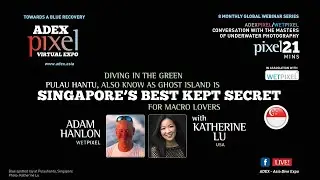 Diving in the Green - Pulau Hantu, Best Kept Secrets for Macro Lovers