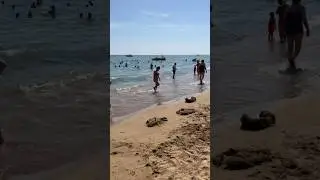 Что лучше море или бассейн?