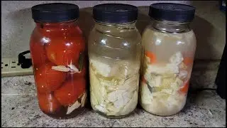 Квашение Новые Эксперименты и Дегустация Капуста Яблоки 2021 (Fermentation)