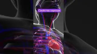 Как пить чай каркаде #здоровье #каркаде #чай