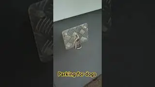 парковка для собак 🐕#собаки #dogs #shortsvideo #shorts