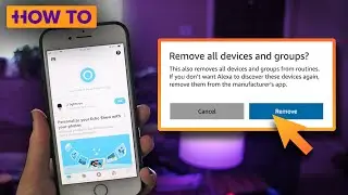 How to reset your smart home devices and start over with Alexa