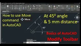 how to use Move command in autoCAD, with given length and angle