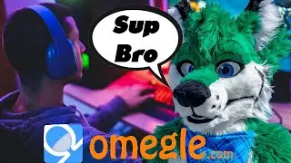 Furry Meets Streamers on Omegle