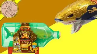 Treasure X Sunken Gold Shark's Treasure!  Dissect Your Shark!