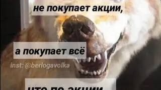 Цитата волка 🐺