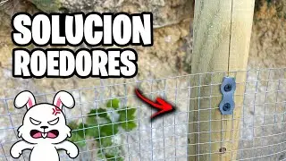 Adiós RATAS y CONEJOS!! 🐇 La Solución Definitiva para Huerto y Jardín | La Huerta de Ivan