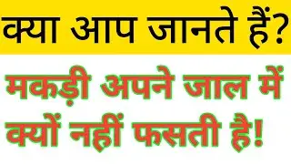क्या आप जानते है? 🤔 • मकड़ी अपने जाल में क्यों नहीं फसती है! | Physics ka vvi questions | 