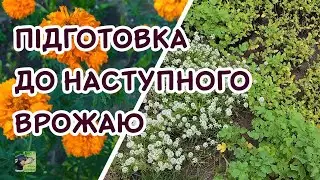 Що необхідно зробити на городі восени? Готуємо ґрунт  | Агро-Рокся
